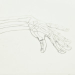 Hand Study with Skeletal Underlay, Graphite on Paper and Mylar, 16"x24", 2009