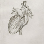 Heart Study, Etching, 16"x24", 2011
