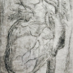 How My Heart Behaves, Plate 1/3, Etching, 16"x12", 2011