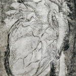 How My Heart Behaves, Plate 2/3, Etching, 16"x12", 2011