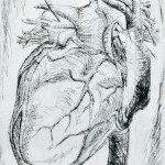 How My Heart Behaves, Plate 1/3, Etching, 16"x12", 2011